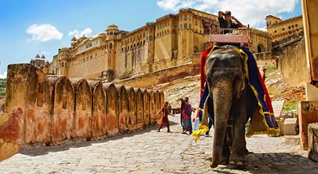 Jaipur Day Tour with Elephant Sanctuary from Delhi