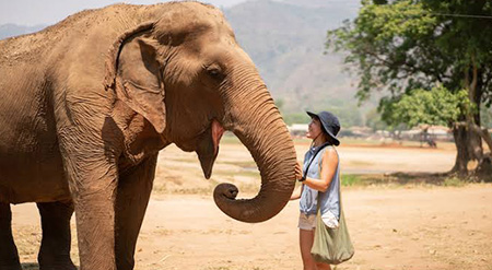Golden Triangle Tour with Elephant Sanctuary 5 Days