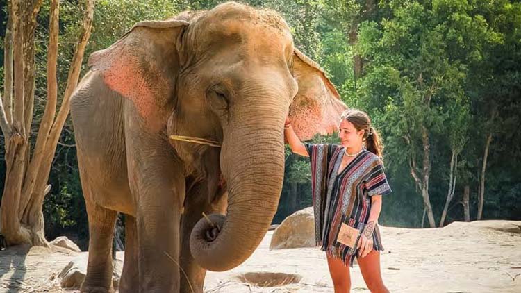 Golden Triangle Tour with Elephant Sanctuary 5 Days from Delhi