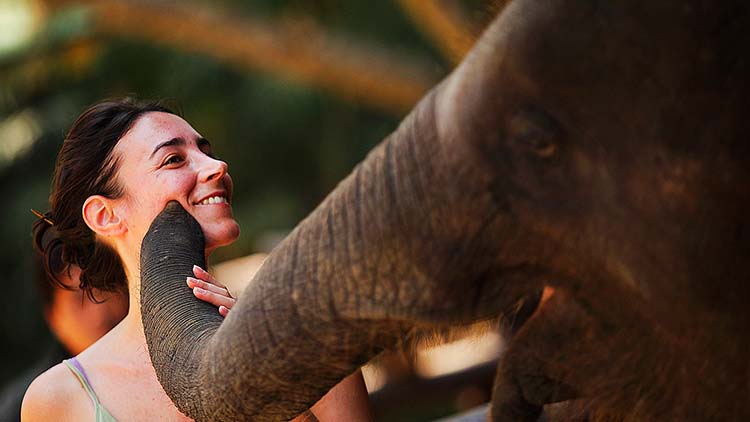 Golden Triangle Tour with Elephant Sanctuary 5 Days from Delhi
