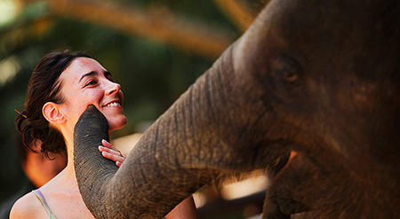 Golden Triangle Tour with Elephant Sanctuary 6 Days