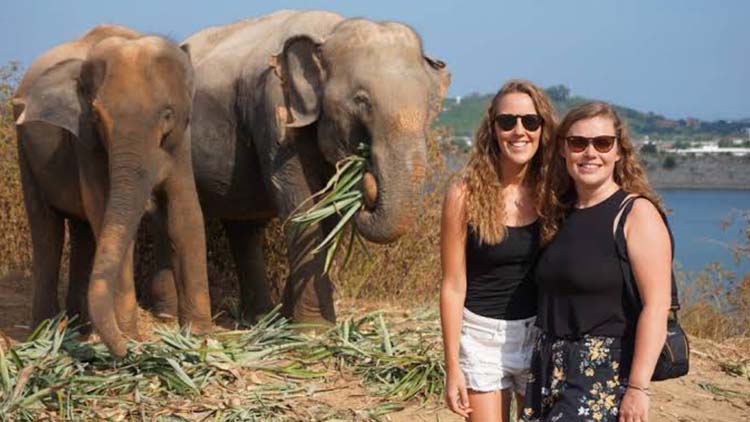 Golden Triangle Tour with Elephant Sanctuary