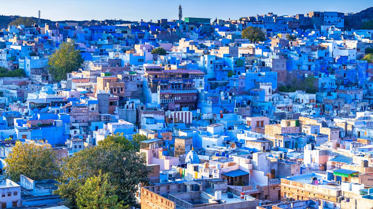 Golden Triangle Tour with Jodhpur 7 Days