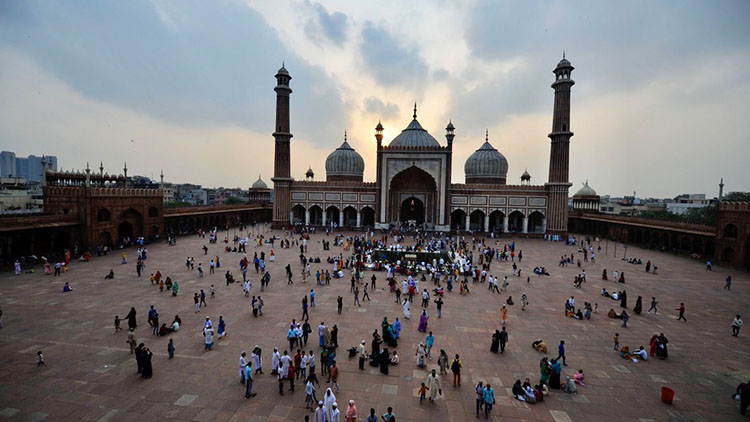 Private Half-Day New Delhi City Tour