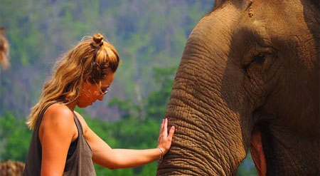 Golden Triangle Tour with Elephant Sanctuary 3 Days