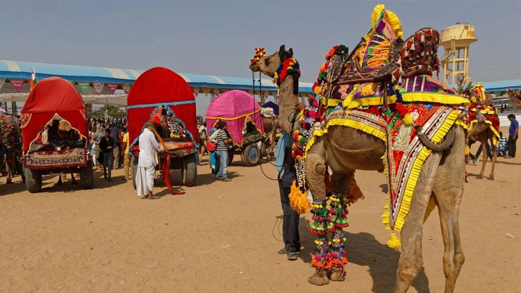 Golden Triangle Tour with Pushkar – 7 Days