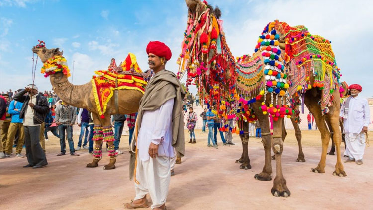 Golden Triangle Tour with Pushkar – 7 Days